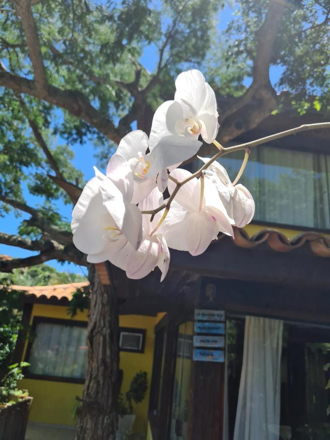 Casa Ferradura Com Hidro,Piscina E 500 Metros Da Praia Búzios 외부 사진